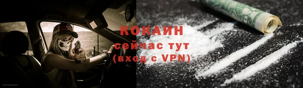 дмт Белокуриха