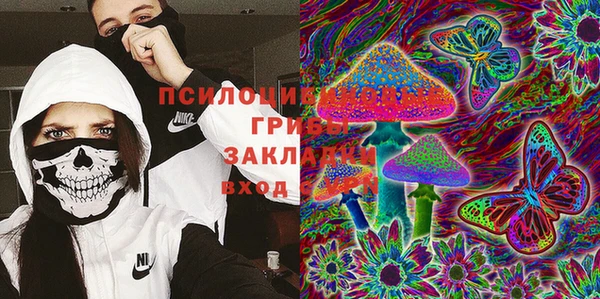 дмт Белокуриха