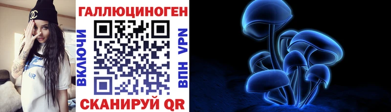 хочу   Светогорск  Галлюциногенные грибы Magic Shrooms 