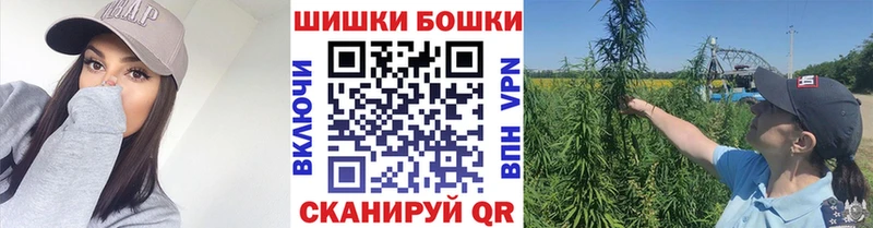 Бошки Шишки Amnesia Светогорск