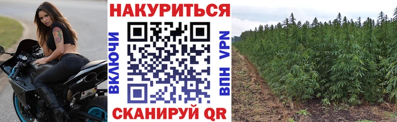 купить  сайты  Светогорск  Марихуана Bruce Banner 